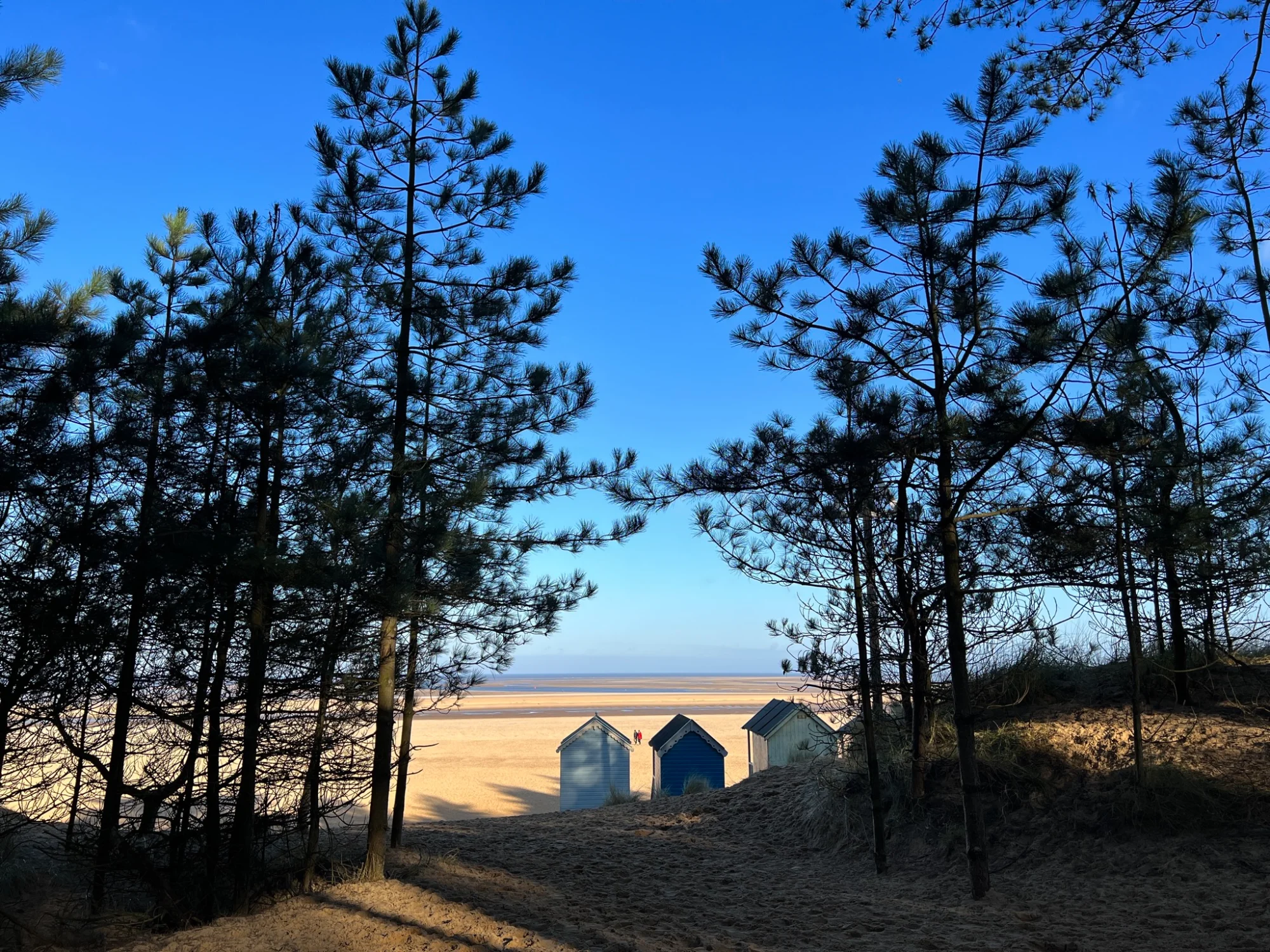 Norfolk Beach - Beach Huts Through Trees